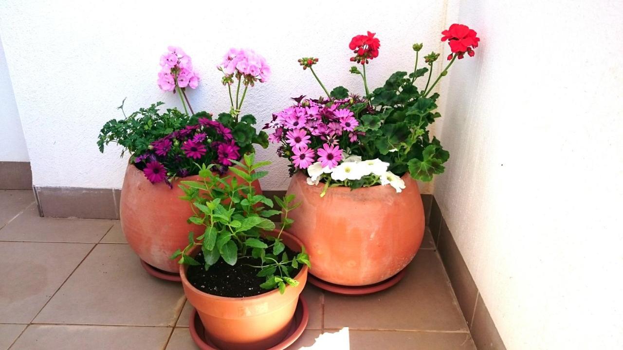 Apartamento De Dos Dormitorios Junto A Mojacar Playa 加鲁查 外观 照片
